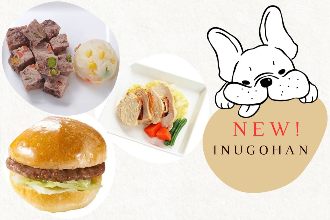 愛犬用ごはんが新登場